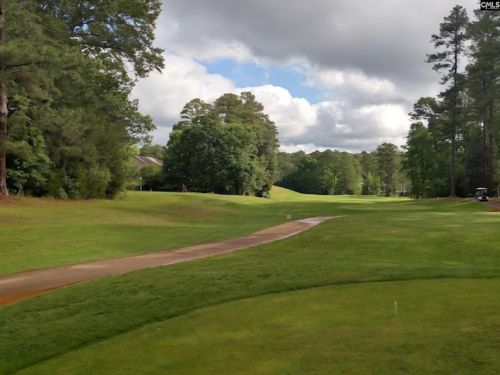 520 Wateroak Trail, Chapin, SC, 29036 | Card Image