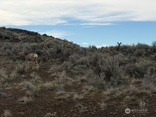 0 Stirrup Pl, Ephrata, WA, 98823 | Card Image