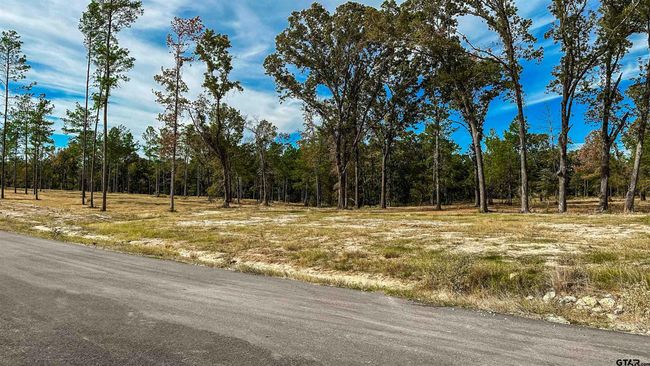 15538 Aniston Ln, Home with 0 bedrooms, 0 bathrooms and null parking in Flint TX | Image 43