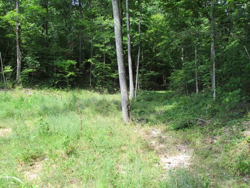 0 Red Bank Creek Rd, Lobelville, TN, 37097 | Card Image