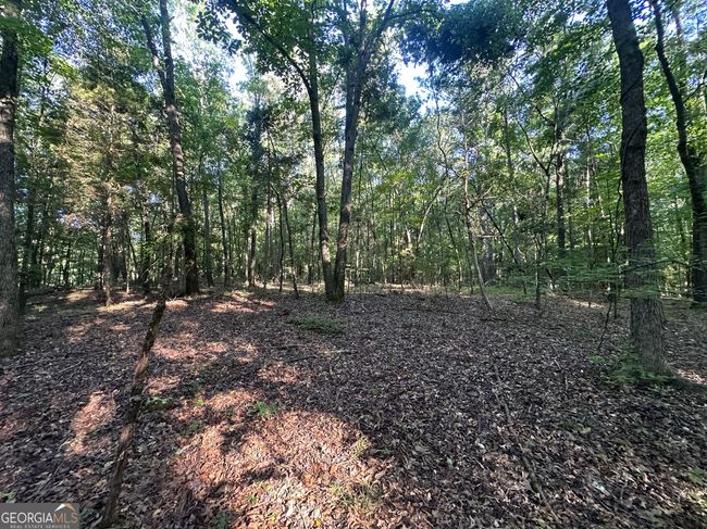 0 Berkeley Rd, Home with 0 bedrooms, 0 bathrooms and null parking in Carlton GA | Image 11
