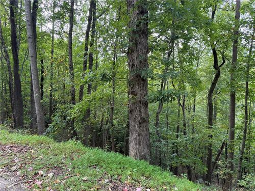 lot-84-000 Ridge Run Rd, Boomer, NC, 28606 | Card Image