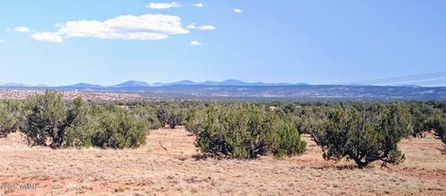 n9119-Lot 44 Ranch Of The White Mountains, Concho, AZ, 85924 | Card Image