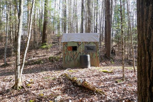 +/-5 Acres Salem Lake Road Road, MOLITOR, WI, 54451 | Card Image