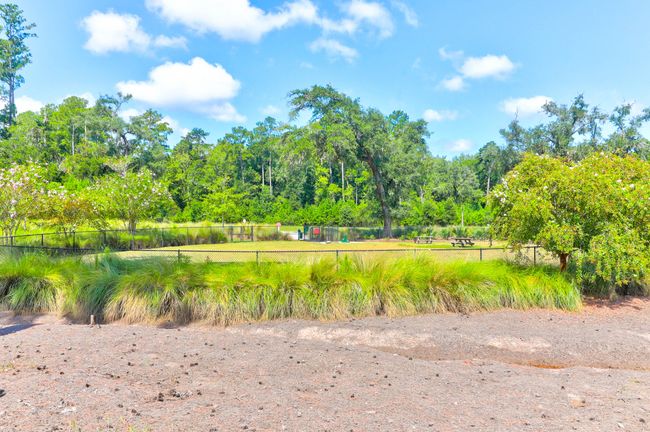 1888 Nola -Tidalcreekphoto- (52) | Image 53
