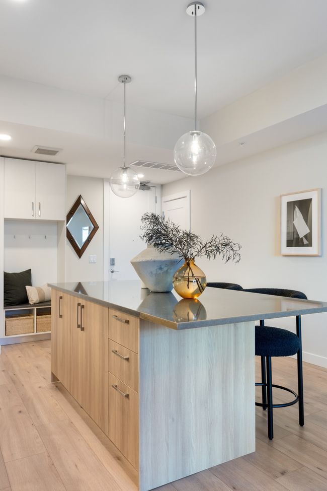A11 Kitchen | Furnished Model | Cool Finish Palette | Image 6