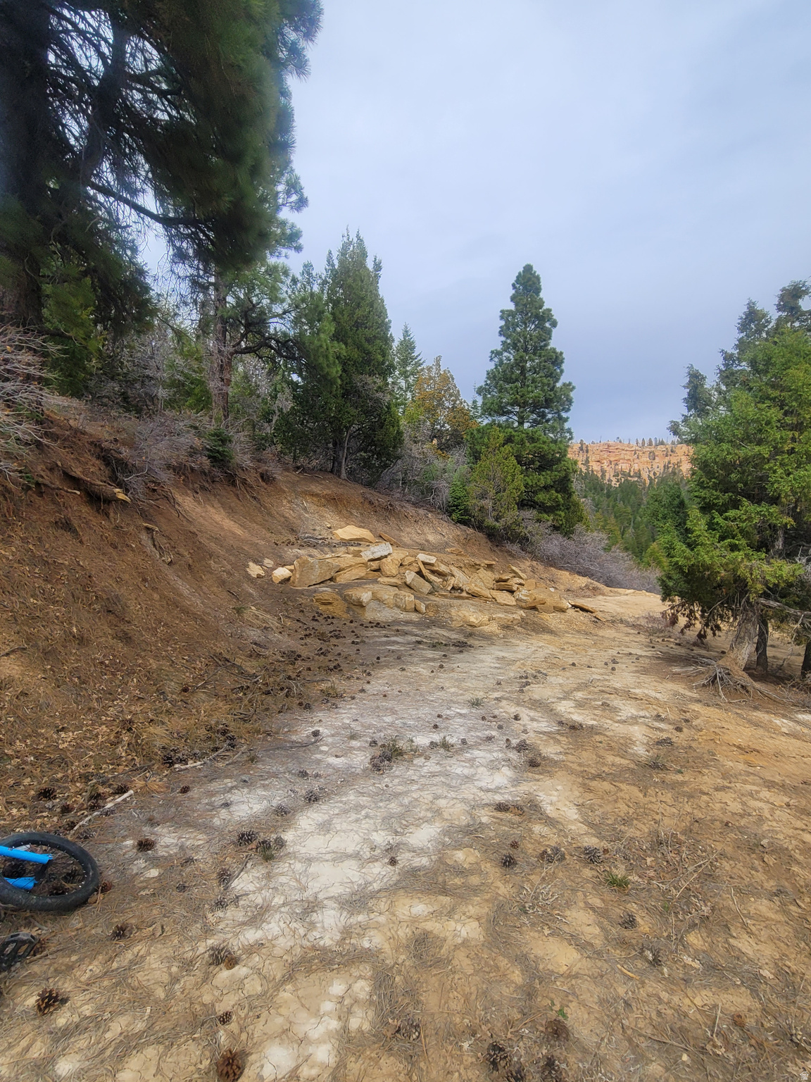 Land in Duck Creek Village 3