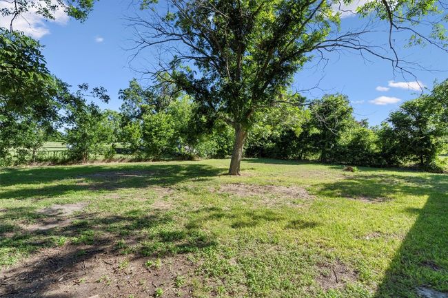 View of yard | Image 29