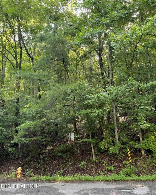 167 Laurel Lake Cir, Madisonville, TN, 37354 | Card Image