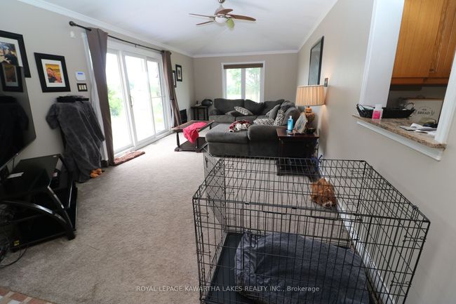 207 Slanted Rd, House other with 5 bedrooms, 4 bathrooms and 20 parking in Reaboro ON | Image 33
