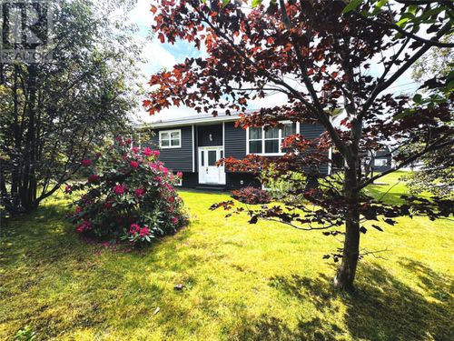 172 Springfield Rd, South River, NL, A0A | Card Image