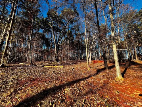 17-123 Hunt Camp Trl, Davidson, NC, 28036-0618 | Card Image