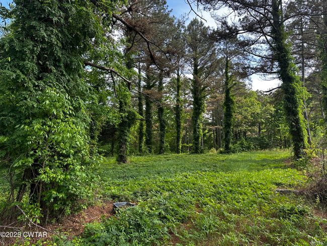 0 Highway 57 E, Home with 0 bedrooms, 0 bathrooms and null parking in Michie TN | Image 4