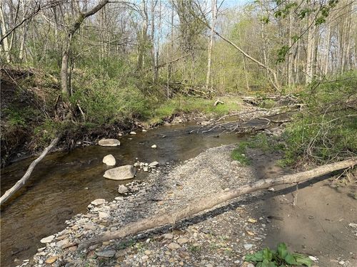 14245 Collin Ctr Zoar Road, Collins, NY, 14034 | Card Image