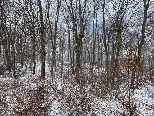 0 Creek Rd, Home with 0 bedrooms, 0 bathrooms and null parking in Clarks Mills PA | Image 15