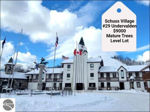 29 Undervalden Dr, Bellaire, MI, 49615 | Card Image