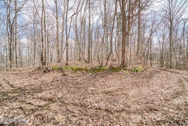 649 Garrett Town Ln, Home with 0 bedrooms, 0 bathrooms and null parking in Monroe TN | Image 8