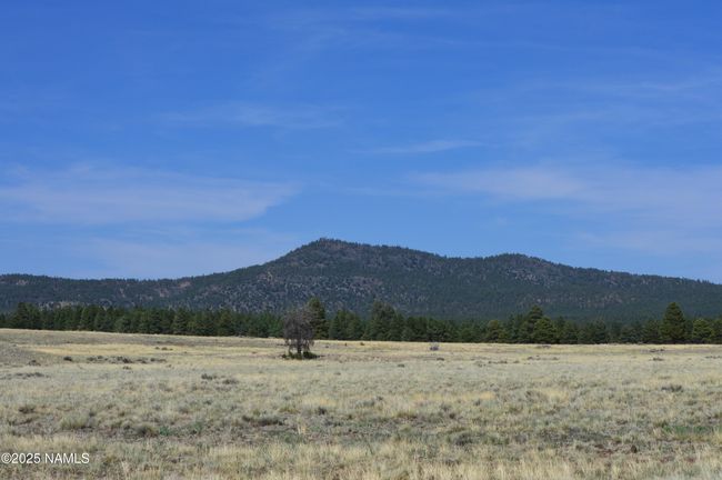 2 E Tanner Ranch Rd, Home with 0 bedrooms, 0 bathrooms and null parking in Parks AZ | Image 12
