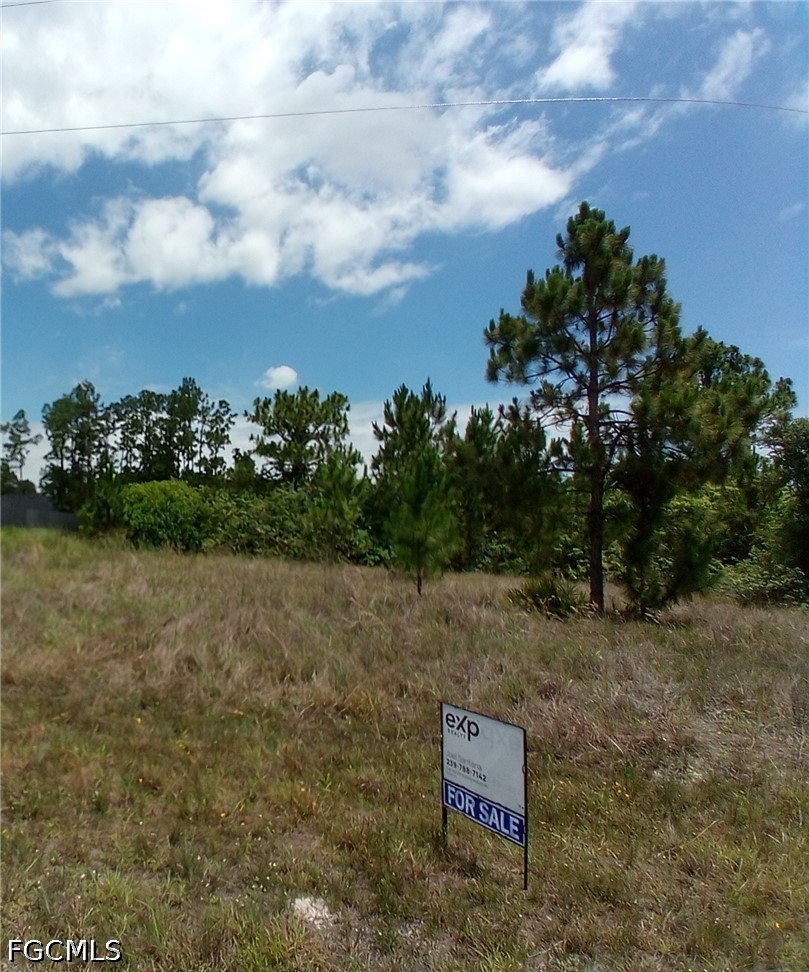 Land in Lehigh Acres 3
