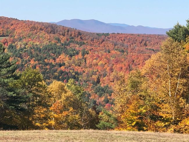 109 Windy Ln, House other with 5 bedrooms, 4 bathrooms and null parking in Pomfret VT | Image 40