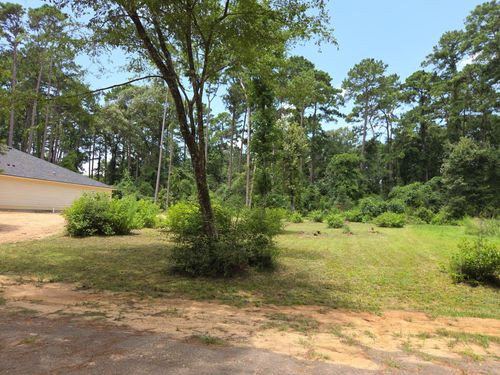 TR 28 Oak Pine Dr, Livingston, TX, 77351 | Card Image