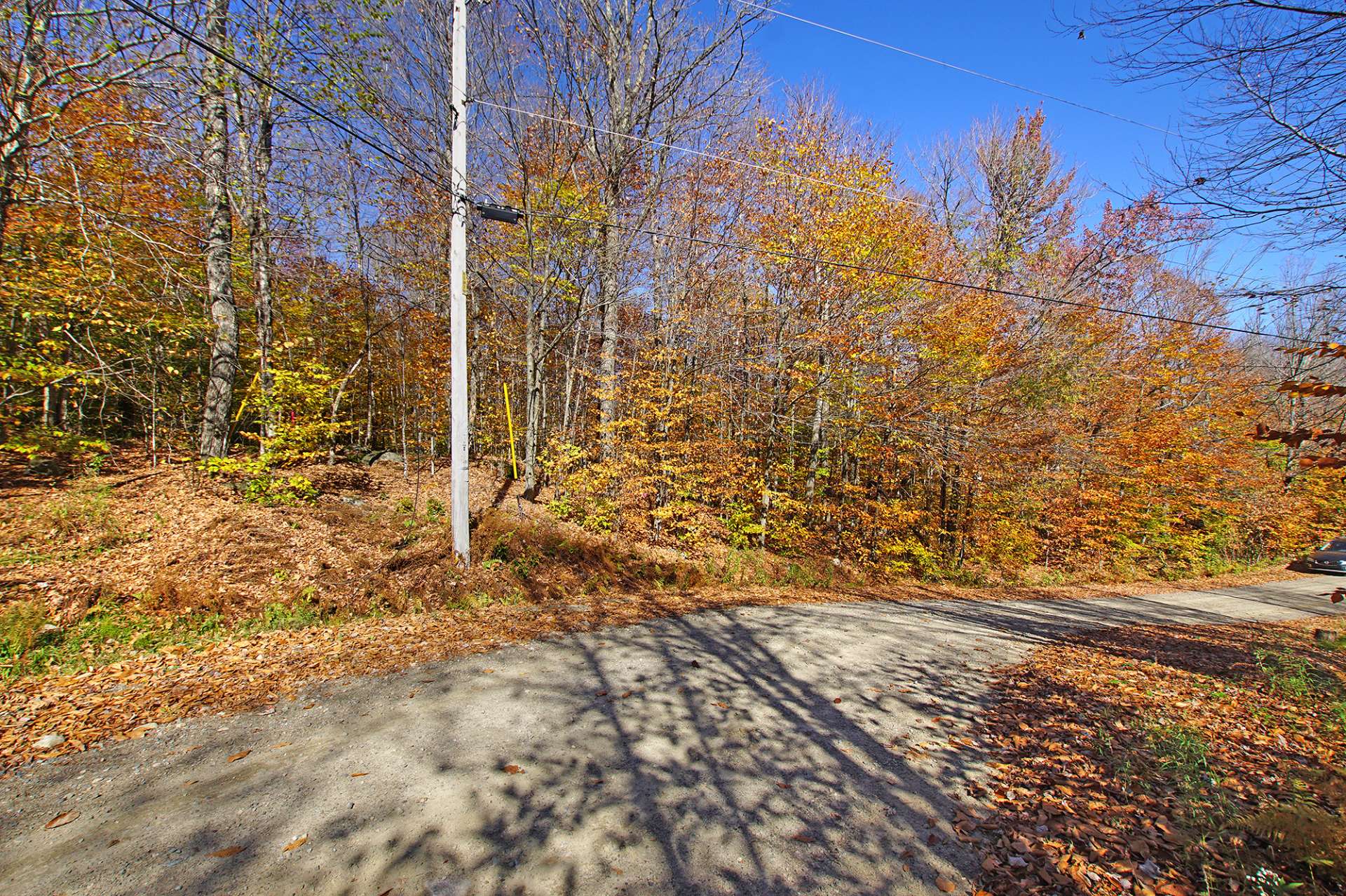 Land in Wentworth