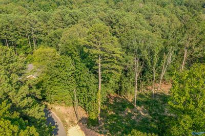 0.70 acres S Berkley Hills Drive S, Home with 0 bedrooms, 0 bathrooms and null parking in Southside AL | Image 3