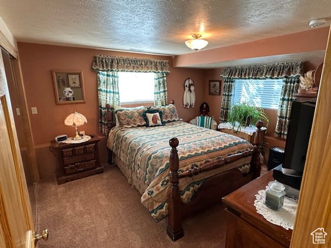 Bedroom featuring carpet flooring, multiple windows, and a textured ceiling | Image 12
