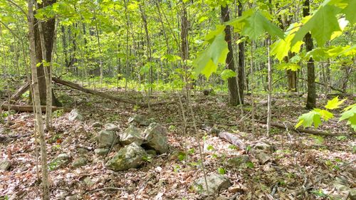 0 Hensley Hollow Road, Dandridge, TN, 37725 | Card Image