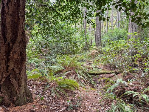 4700 Rose Ave Ne, Bainbridge Island, WA, 98110-3133 | Card Image