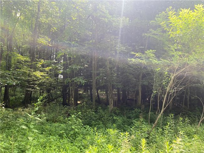 925 Haytown Rd, Home with 0 bedrooms, 0 bathrooms and null parking in Grampian PA | Image 7