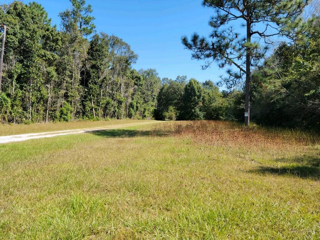 Padgett Switch Rd, Irvington, AL 36544