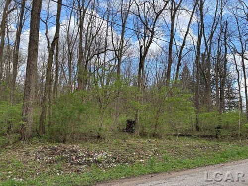 0 Black Highway, Raisin Township, MI, 49221 | Card Image