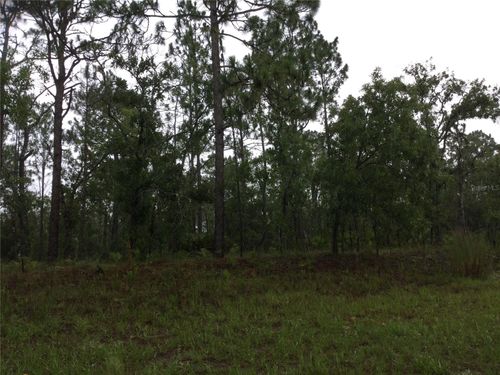 2191 W Citrus Springs Blvd, CITRUS SPRINGS, FL, 34434-7102 | Card Image