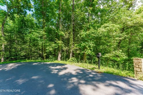 0 Maples Rd, Gatlinburg, TN, 37738 | Card Image