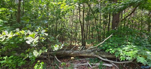4.55ac County Road 730, Henagar, AL, 35978 | Card Image