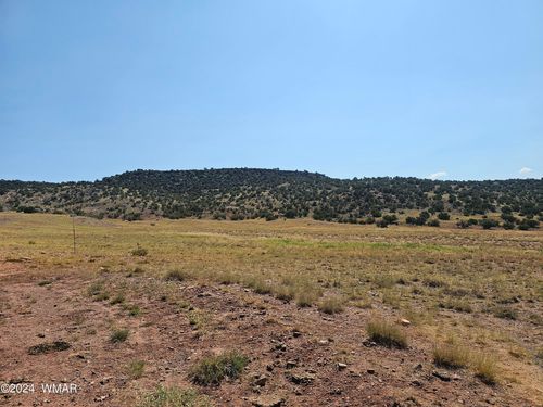 lot-289-TBD River Springs Ranch, St. Johns, AZ, 85936 | Card Image