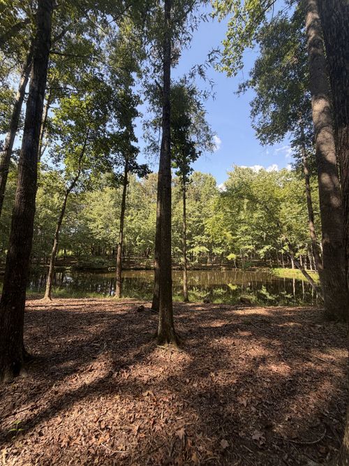0 Lakewood Park Rd, Beechgrove, TN, 37018 | Card Image