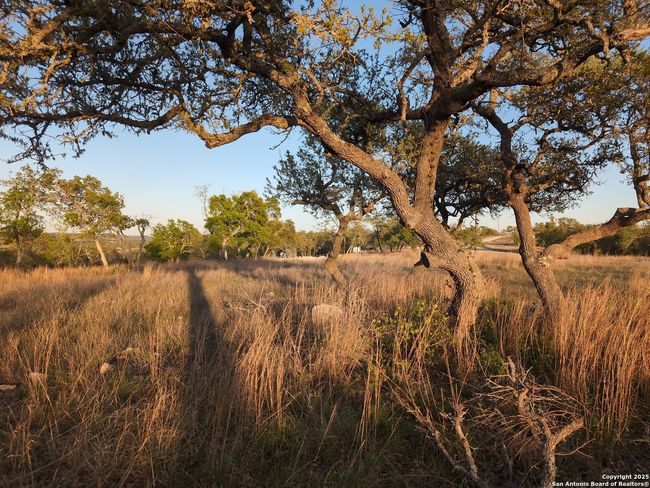 130 Falling Leaves Ct, Home with 0 bedrooms, 0 bathrooms and null parking in Blanco TX | Image 15