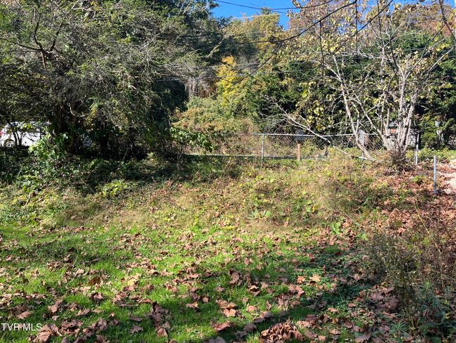 1208 Doe Creek Rd, House other with 1 bedrooms, 1 bathrooms and null parking in Butler TN | Image 14