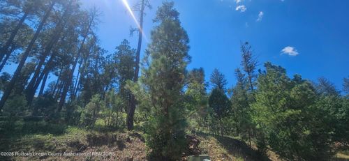 117 Oak Grove Pl, Ruidoso, NM, 88345-9458 | Card Image