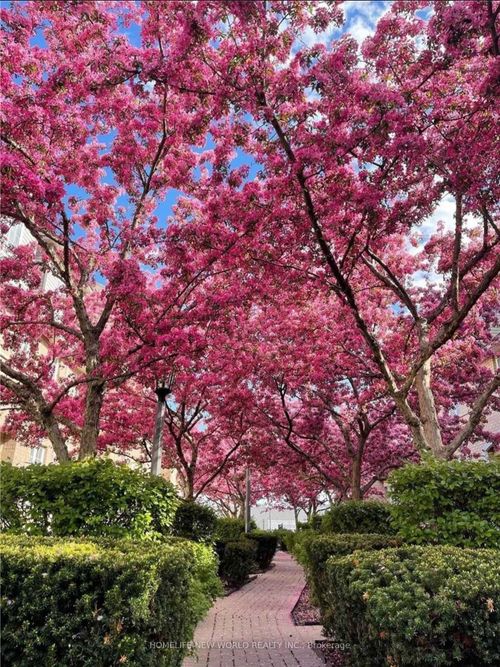 105-23 Observatory Lane, Richmond Hill, ON, L4C0M7 | Card Image