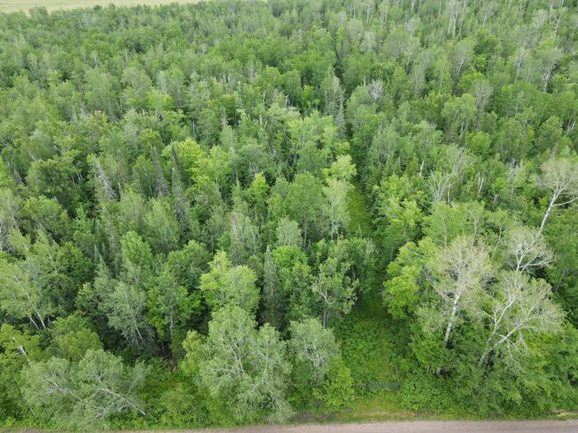 Mature Timber | Image 41