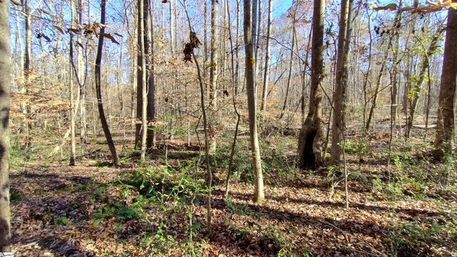 00B Sullivan Rd, Home with 0 bedrooms, 0 bathrooms and null parking in Laurens SC | Image 6