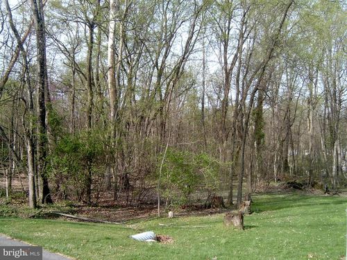 Lot 23 Emerald Dr, FALLING WATERS, WV, 25419-4153 | Card Image
