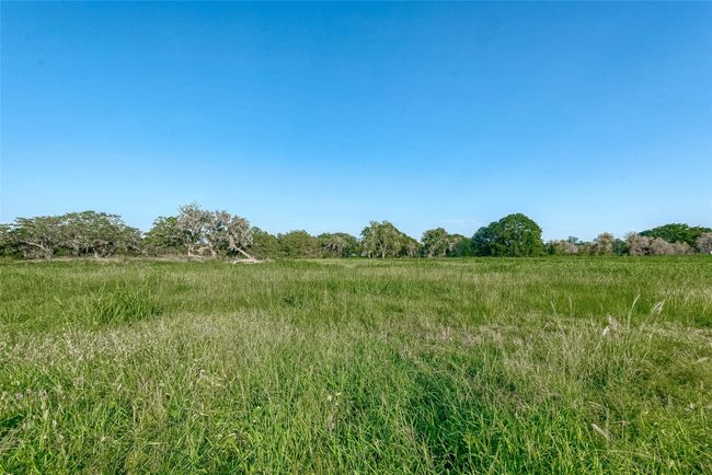 1427 Frontier Trl, Home with 0 bedrooms, 0 bathrooms and null parking in Angleton TX | Image 9