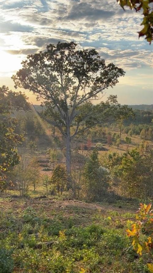 1590 Buttermilk Rd Sw, Cave Spring, GA, 30124-2805 | Card Image