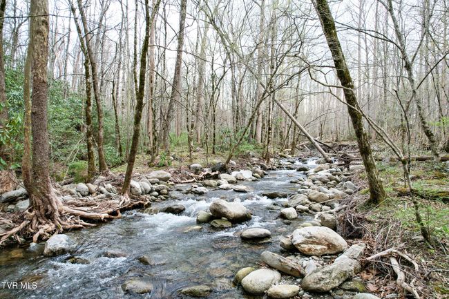 120 Misty Way, House other with 2 bedrooms, 2 bathrooms and null parking in Cosby TN | Image 31
