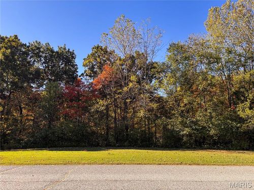 1 Manderly Place Dr, O Fallon, MO, 63366-1955 | Card Image