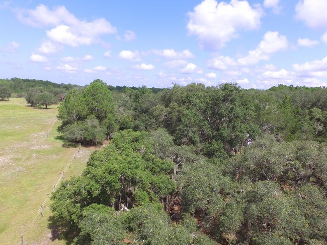 13050 Sw 67th Pl, House other with 2 bedrooms, 2 bathrooms and null parking in CEDAR KEY FL | Image 11